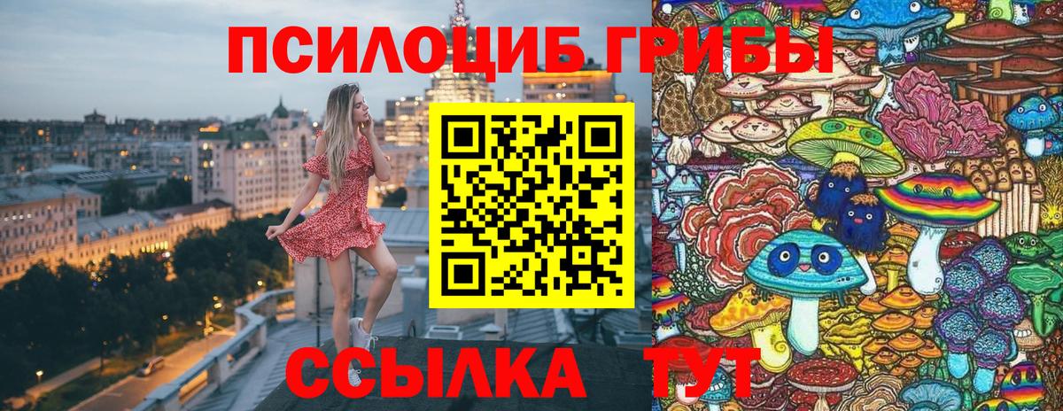 Псилоцибиновые грибы Psilocybe  Вход с VPN  Ступино 
